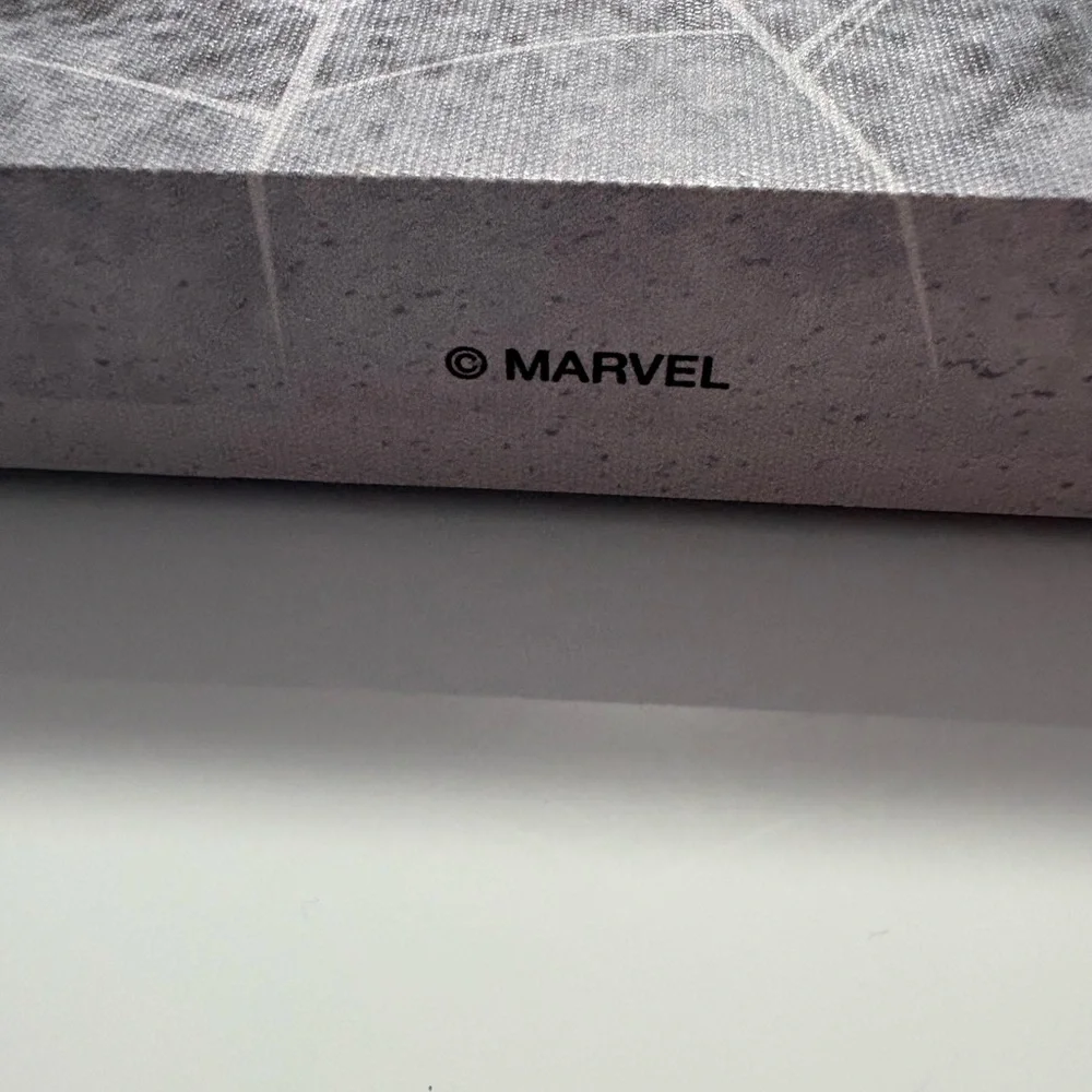 Marvel Spider-Man Art work picture
